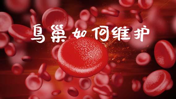 鸟巢如何维护_https://wap.fcdydaikuan.com_理财顾问_第1张