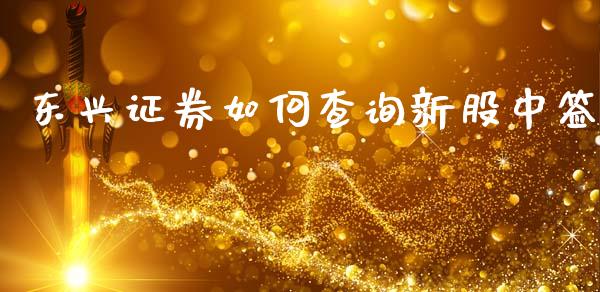 东兴证券如何查询新股中签_https://wap.fcdydaikuan.com_金融机构_第1张