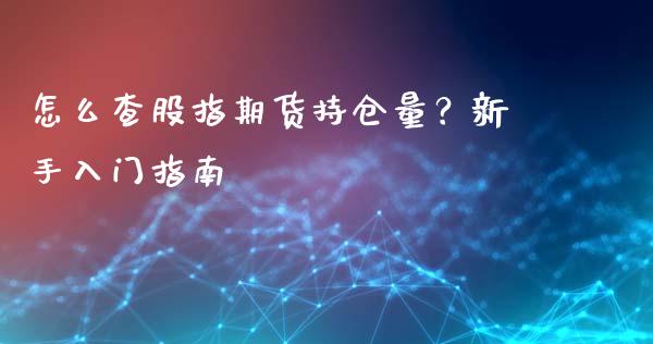 怎么查股指期货持仓量？新手入门指南_https://wap.fcdydaikuan.com_期货品种_第1张