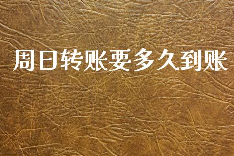 周日转账要多久到账_https://wap.fcdydaikuan.com_期货品种_第1张
