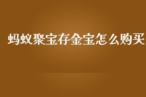 蚂蚁聚宝存金宝怎么购买_https://wap.fcdydaikuan.com_国际投资_第1张