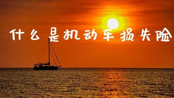 什么是机动车损失险_https://wap.fcdydaikuan.com_理财顾问_第1张