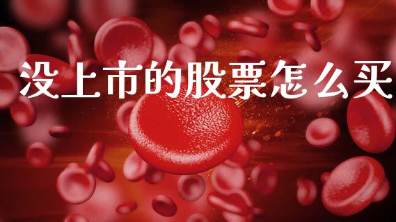 没上市的股票怎么买_https://wap.fcdydaikuan.com_期货品种_第1张