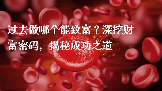 过去做哪个能致富？深挖财富密码，揭秘成功之道_https://wap.fcdydaikuan.com_新股数据_第1张