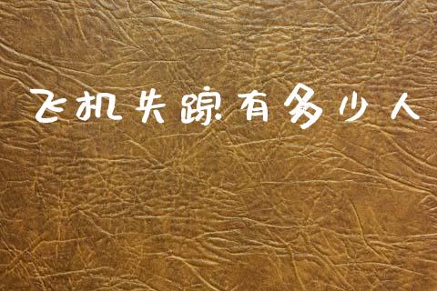 飞机失踪有多少人_https://wap.fcdydaikuan.com_理财顾问_第1张