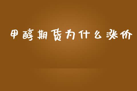 甲醇期货为什么涨价_https://wap.fcdydaikuan.com_国际投资_第1张