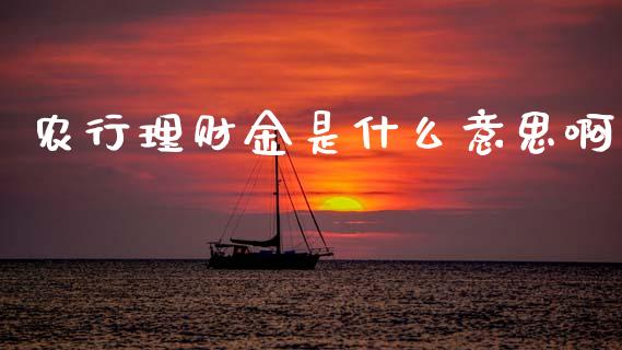 农行理财金是什么意思啊_https://wap.fcdydaikuan.com_投资策略_第1张