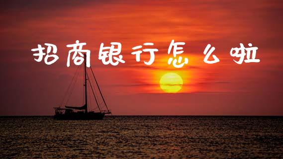 招商银行怎么啦_https://wap.fcdydaikuan.com_投资策略_第1张