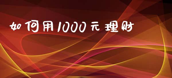 如何用1000元理财_https://wap.fcdydaikuan.com_国际投资_第1张