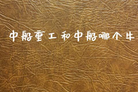 中船重工和中船哪个牛_https://wap.fcdydaikuan.com_理财顾问_第1张