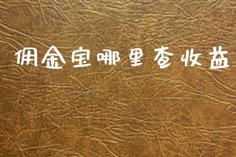 佣金宝哪里查收益_https://wap.fcdydaikuan.com_新股数据_第1张