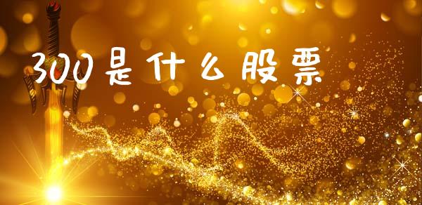 300是什么股票_https://wap.fcdydaikuan.com_国际投资_第1张