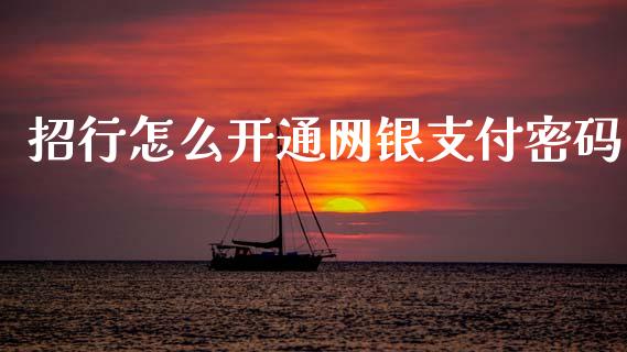 招行怎么开通网银支付密码_https://wap.fcdydaikuan.com_国际投资_第1张