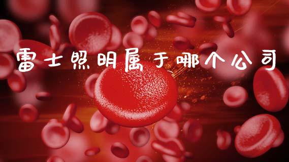 雷士照明属于哪个公司_https://wap.fcdydaikuan.com_国际投资_第1张