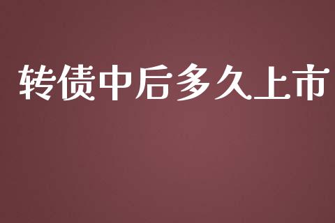 转债中后多久上市_https://wap.fcdydaikuan.com_理财顾问_第1张