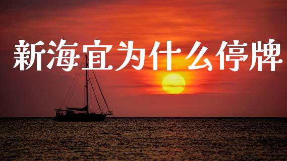 新海宜为什么停牌_https://wap.fcdydaikuan.com_金融机构_第1张