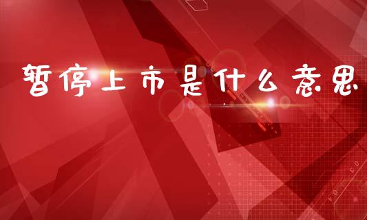 暂停上市是什么意思_https://wap.fcdydaikuan.com_国际投资_第1张