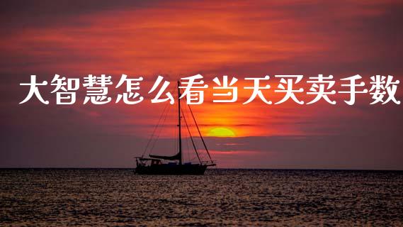 大智慧怎么看当天买卖手数_https://wap.fcdydaikuan.com_金融机构_第1张