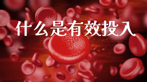什么是有效投入_https://wap.fcdydaikuan.com_国际投资_第1张