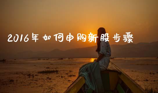 2016年如何申购新股步骤_https://wap.fcdydaikuan.com_理财顾问_第1张