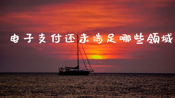 电子支付还未涉足哪些领域_https://wap.fcdydaikuan.com_理财顾问_第1张