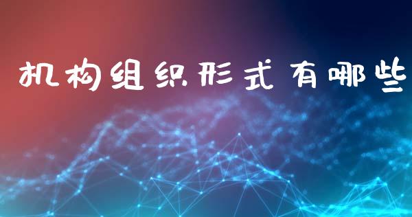 机构组织形式有哪些_https://wap.fcdydaikuan.com_国际投资_第1张