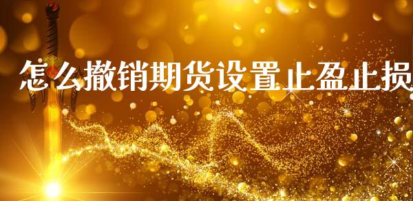怎么撤销期货设置止盈止损_https://wap.fcdydaikuan.com_新股数据_第1张