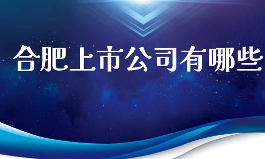 合肥上市公司有哪些_https://wap.fcdydaikuan.com_投资策略_第1张