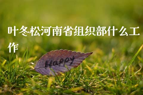 叶冬松河南省组织部什么工作_https://wap.fcdydaikuan.com_理财顾问_第1张