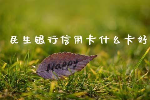 民生银行信用卡什么卡好_https://wap.fcdydaikuan.com_国际投资_第1张