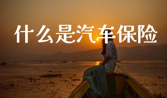 什么是汽车保险_https://wap.fcdydaikuan.com_期货品种_第1张