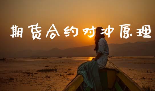 期货合约对冲原理_https://wap.fcdydaikuan.com_投资策略_第1张
