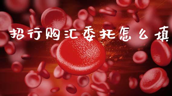 招行购汇委托怎么填_https://wap.fcdydaikuan.com_新股数据_第1张