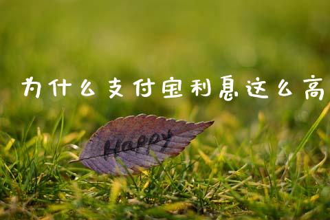 为什么支付宝利息这么高_https://wap.fcdydaikuan.com_国际投资_第1张