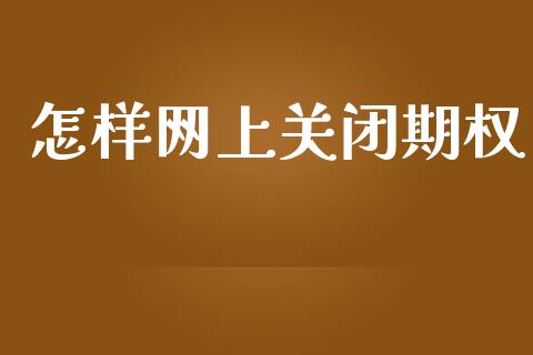 怎样网上关闭期权_https://wap.fcdydaikuan.com_新股数据_第1张