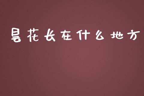 昙花长在什么地方_https://wap.fcdydaikuan.com_新股数据_第1张