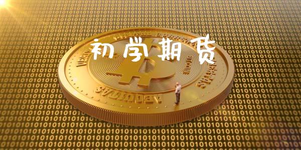 初学期货_https://wap.fcdydaikuan.com_国际投资_第1张