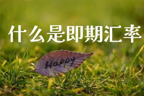 什么是即期汇率_https://wap.fcdydaikuan.com_期货品种_第1张