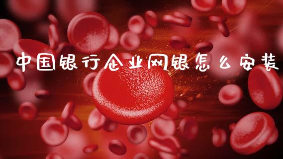 中国银行企业网银怎么安装_https://wap.fcdydaikuan.com_投资策略_第1张
