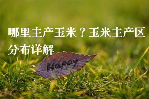 哪里主产玉米？玉米主产区分布详解_https://wap.fcdydaikuan.com_金融机构_第1张