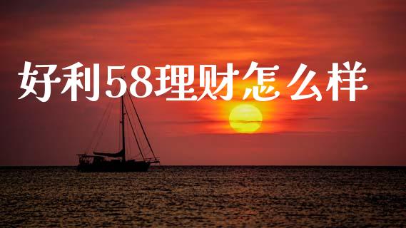 好利58理财怎么样_https://wap.fcdydaikuan.com_理财顾问_第1张
