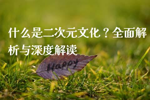 什么是二次元文化？全面解析与深度解读_https://wap.fcdydaikuan.com_金融机构_第1张