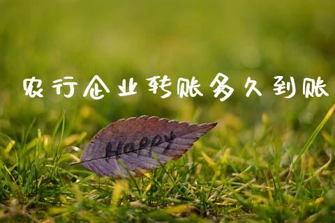 农行企业转账多久到账_https://wap.fcdydaikuan.com_金融机构_第1张