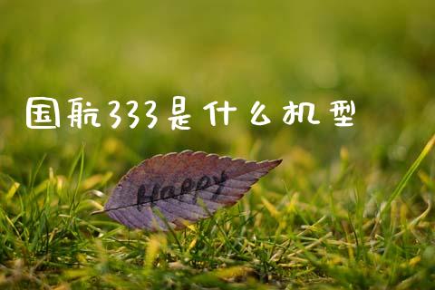 国航333是什么机型_https://wap.fcdydaikuan.com_国际投资_第1张