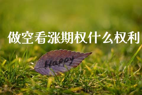 做空看涨期权什么权利_https://wap.fcdydaikuan.com_理财顾问_第1张