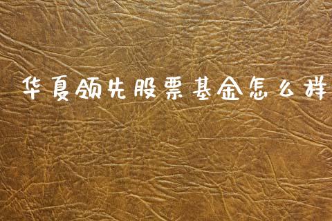 华夏领先股票基金怎么样_https://wap.fcdydaikuan.com_金融机构_第1张