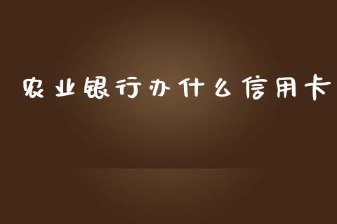 农业银行办什么信用卡_https://wap.fcdydaikuan.com_投资策略_第1张