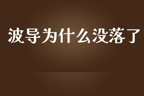 波导为什么没落了_https://wap.fcdydaikuan.com_期货品种_第1张
