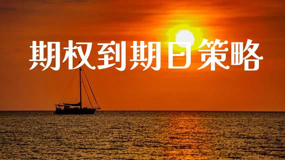 期权到期日策略_https://wap.fcdydaikuan.com_金融机构_第1张