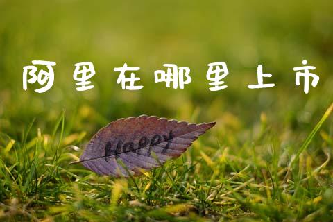 阿里在哪里上市_https://wap.fcdydaikuan.com_理财顾问_第1张